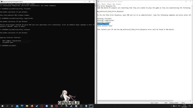 New World - mm_authresult_Http_Error_Response (решение) смотреть онлайн