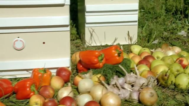 Дачник-4, Дачник-2М смотреть онлайн