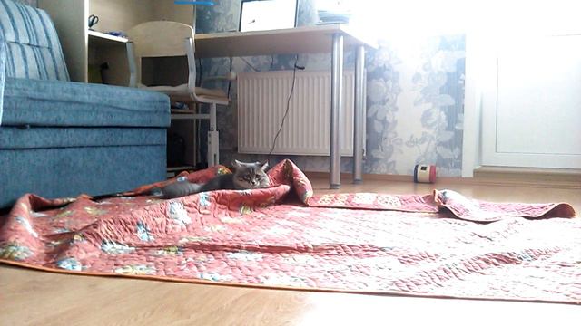 Ненавижу покрывало смотреть онлайн