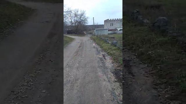 Дрессировка собак в Кропивни́цком. Джек Рассел терьер. Ко мне. смотреть онлайн