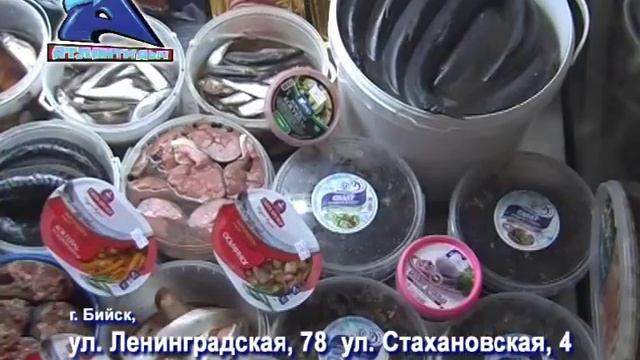 НУ И НУ АБАКАН РЫБАЛКА смотреть онлайн