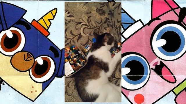 Приколы с котами! Кот йог! Каспер спит на Лего))) смотреть онлайн