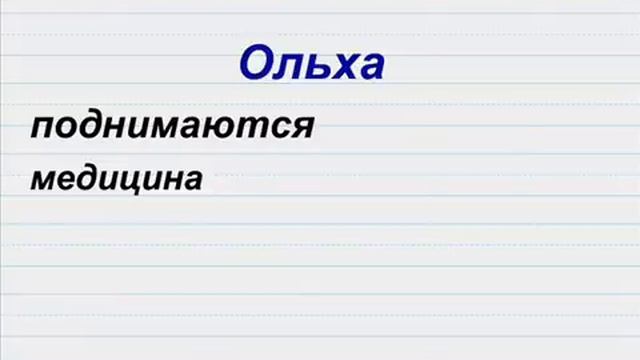 Диктант Ольха