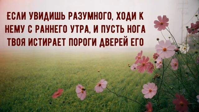 Мудрость. Книга Премудрости Иисуса, сына Сирахова 6-я и 7-я глава смотреть онлайн