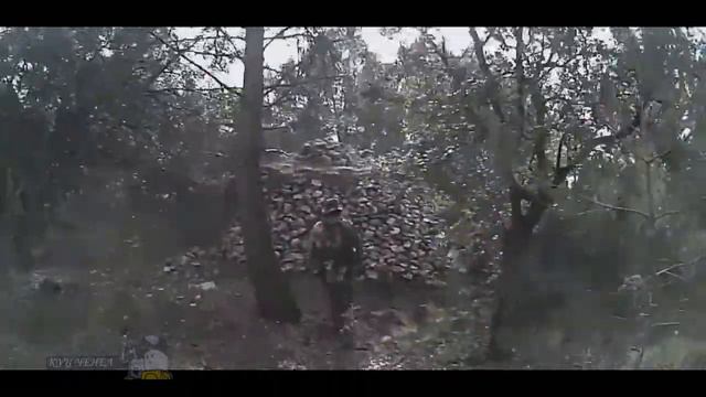 Страйкбол в лесу смотреть онлайн