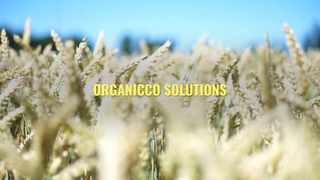 ORGANICCO GREEN TECH PROVEN TECHNOLOGY смотреть онлайн