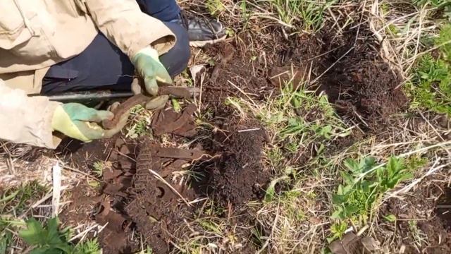Сброс металла,возле деревни.вес имеет.металлоискатели тх-850 и квест-х10про. смотреть онлайн