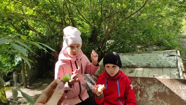 НАМ НЕ СТЫДНО/УРОЖАЙ НА ДАЧЕ/ПЕРЕЕЗД ИЗ РК В РФ смотреть онлайн