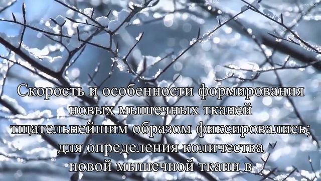 Чем возместить потерю жидкости после тренировок — Статья смотреть онлайн
