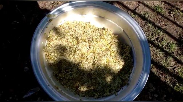 Мёд из цветков бузины/Чай из цветков белой акации смотреть онлайн