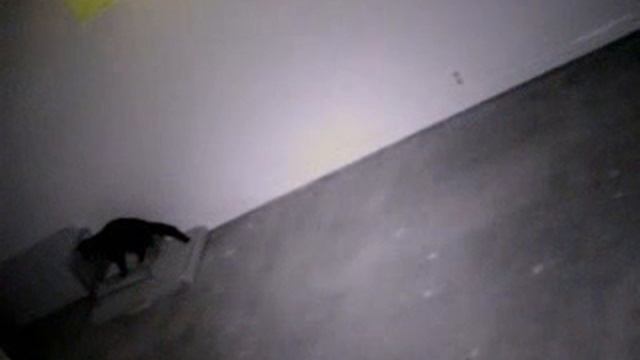 Победа? смотреть онлайн