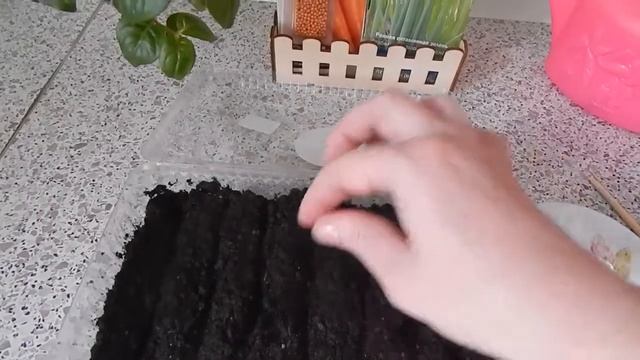 Посев лука порей на рассаду. смотреть онлайн