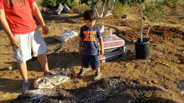 Ellen White Blueprint Tree Planting Method смотреть онлайн