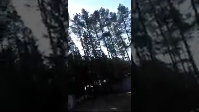 Смазка цепи на Хонда cbr f4i смотреть онлайн