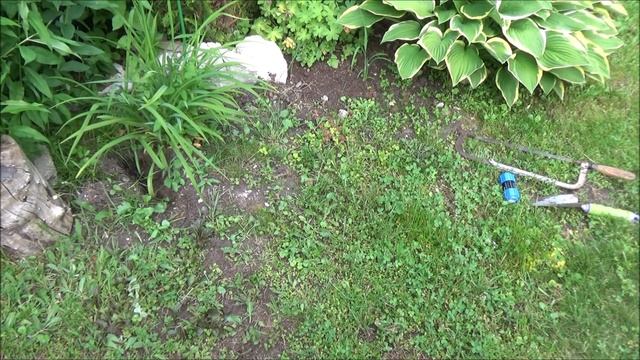 Цветочки в Леруа. Ремонт трубы полива. Вторая жизнь старой бочки. Уголок дачника. Стрижка хвойных.. смотреть онлайн