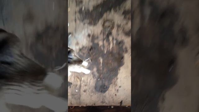 Подготовительные работы для фундамента и не только. Подготовка 80 % смотреть онлайн