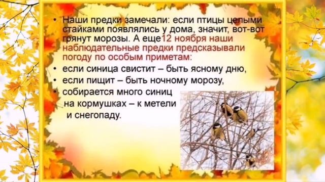 Синичкин день.mp4 смотреть онлайн