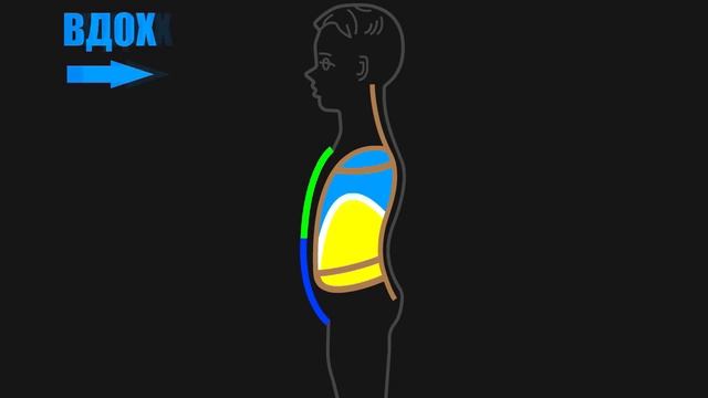 Дыхание и КРОВООБРАЩЕНИЕ. Молитва Иисуса А А Бу Н Д-баш Май О О . смотреть онлайн