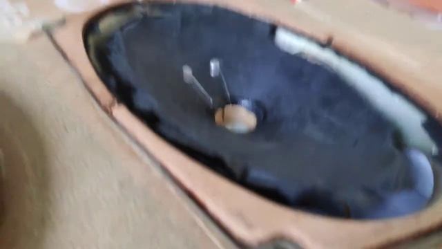 Палим динамик