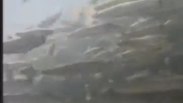 Тихоокеанские лососи. Жизненный цикл смотреть онлайн