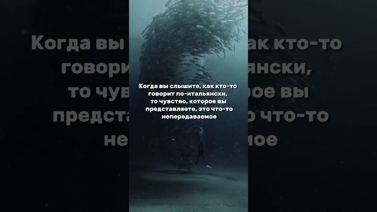 Когда кто-то говорит по-итальянски... смотреть онлайн