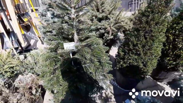 Посетили выставку "ДАЧНЫЙ СЕЗОН" Весна 2021 г. в Ростове-на-дону смотреть онлайн