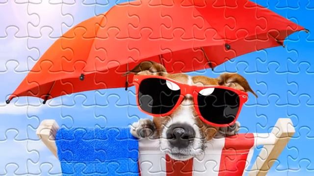 Magic Jigsaw Puzzles - A Constantly Updated Collection смотреть онлайн