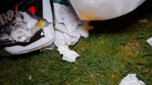 GAMESTOP EMPLOYEES Left me a JACKPOT! Dumpster Diving Speedy смотреть онлайн