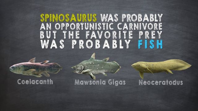 Spinosaurus Facts! A Dinosaur Facts video about Spinosaurus, the largest known carnivorous dinosaur смотреть онлайн