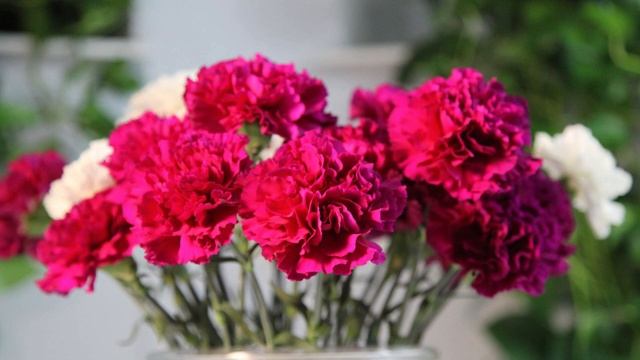 8 МАРТА - КАКОЙ Букет подарить маме, девушке, жене, сестре? Что означает каждый цветок: язык цвето смотреть онлайн