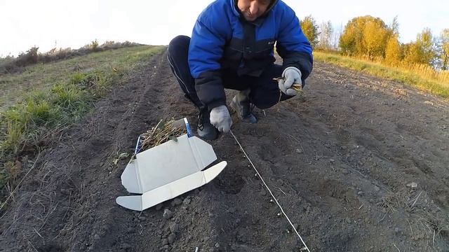 ТЫСЯЧА БУДУЩИХ САЖЕНЦЕВ СМОРОДИНЫ смотреть онлайн
