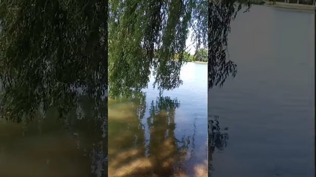 АСТРАХАНСКИЙ КРЕМЛЬ И СУПЕР ИСПОЛНЕНИЕ ПЕСНИ О РОССИИ из репертуара Анатолия Днепрова смотреть онлайн