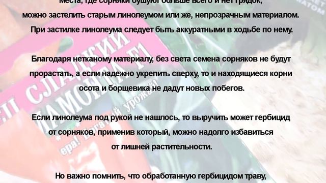 Два основных штрафа для дачников в 2022 году смотреть онлайн