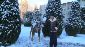 Санаторий Мокша.   Приезжайте Здесь Классно Отдыхать