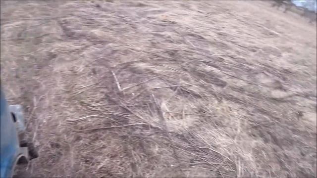 Самое страшное у дикой утки смотреть онлайн