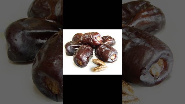 Финики. смотреть онлайн