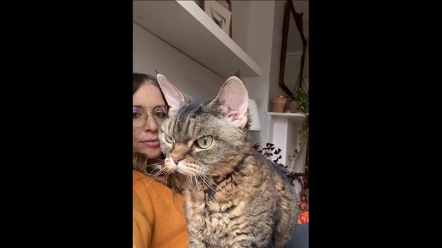 Когда встал не с той ноги смотреть онлайн