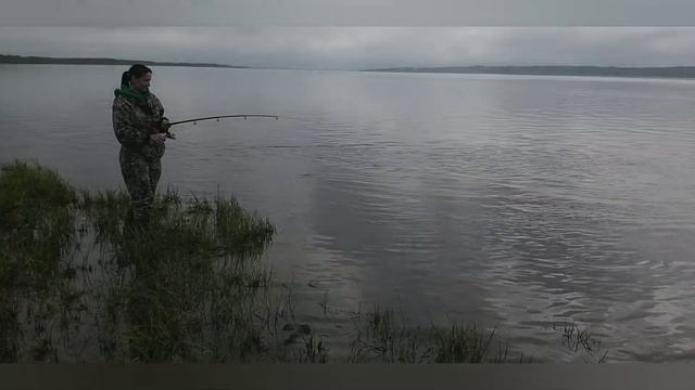 рыбалка на Печоре/попали под раздачу смотреть онлайн