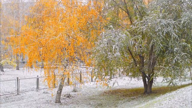 Димитровград . Первый снег... смотреть онлайн
