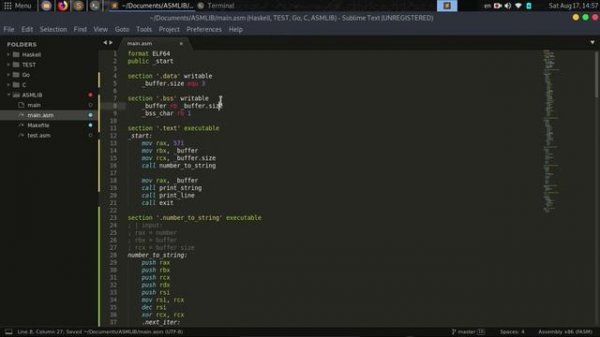 // Язык Ассемблера #3 [FASM, Linux, x86-64] //