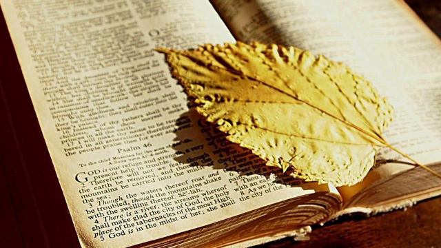 Blessed Assurance смотреть онлайн