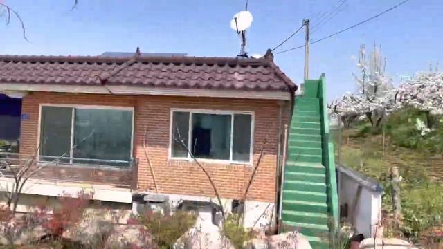 Обед в полевых условиях /Опыление груш|Арбайт в Корее | смотреть онлайн