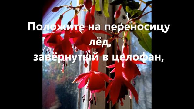 Как остановить кровотечение из носа