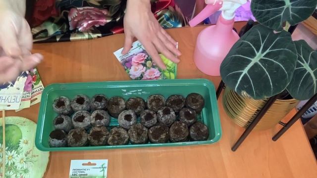 Сею ЭУСТОМУ на рассаду. смотреть онлайн