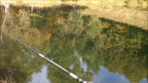 Мини обзор  воблера TsuYoki WATSON 80SP