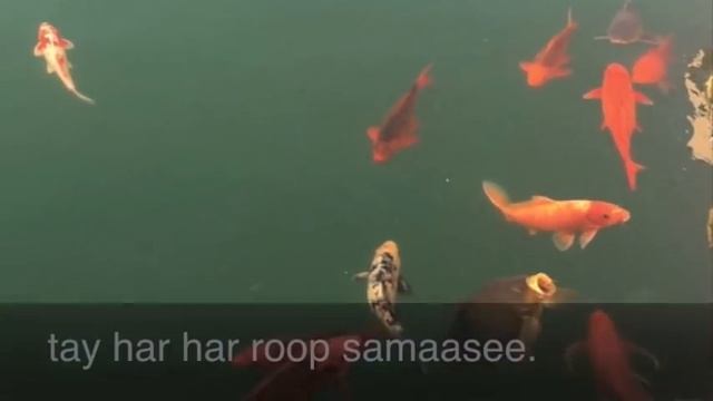 11 So Purkhs смотреть онлайн