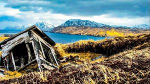 Суровый крайний север: Как белый медведь Уничтожил Секретную нацистскую базу в Арктике