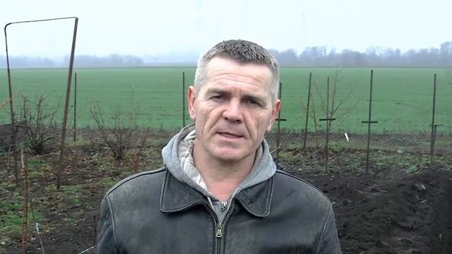 Ограждаем виноград от агрессивного соседа. смотреть онлайн