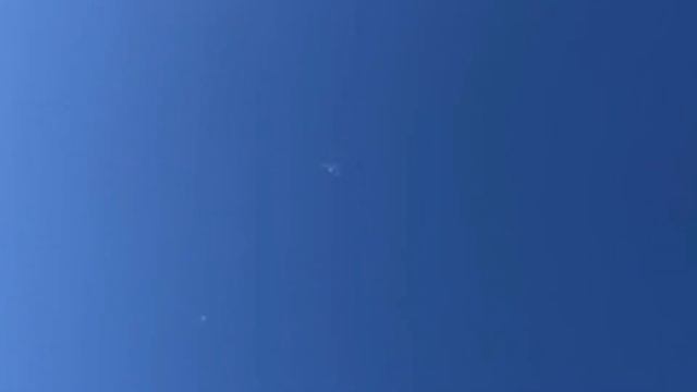 Туркменские бойные мраморные голуби в России ?? / Turkmen Pigeons смотреть онлайн