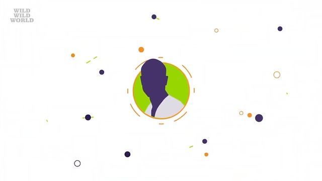 Wild June. Как искусственный интеллект помогает продавать автомобили? смотреть онлайн